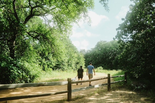 Irtrixaven nature paths